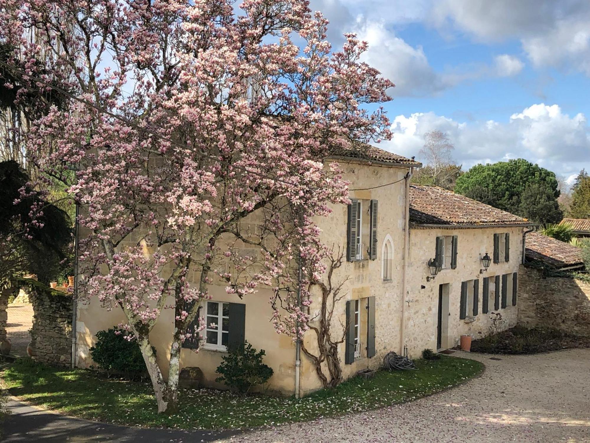 Domaine Des Monges Bed & Breakfast Saint-Seurin-de-Prats Dış mekan fotoğraf